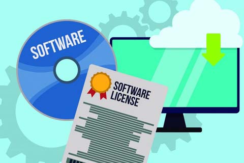 Cheap software license company, Windows 10, windows 11, Adobe Reader, MS Office, software licenses - IT Products