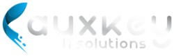 Auxkey IT Solutions Dubai UAE